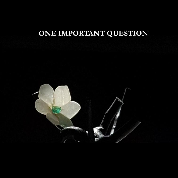 One Important Question
