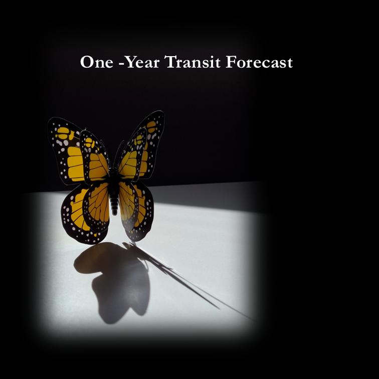 One -Year Transit Forecast
